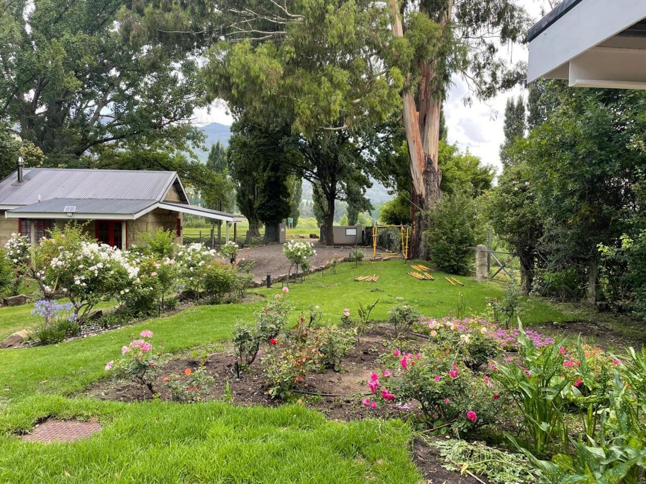 Periwinkle, Grove ,Acorn & Sage Cottages Clarens Luaran gambar