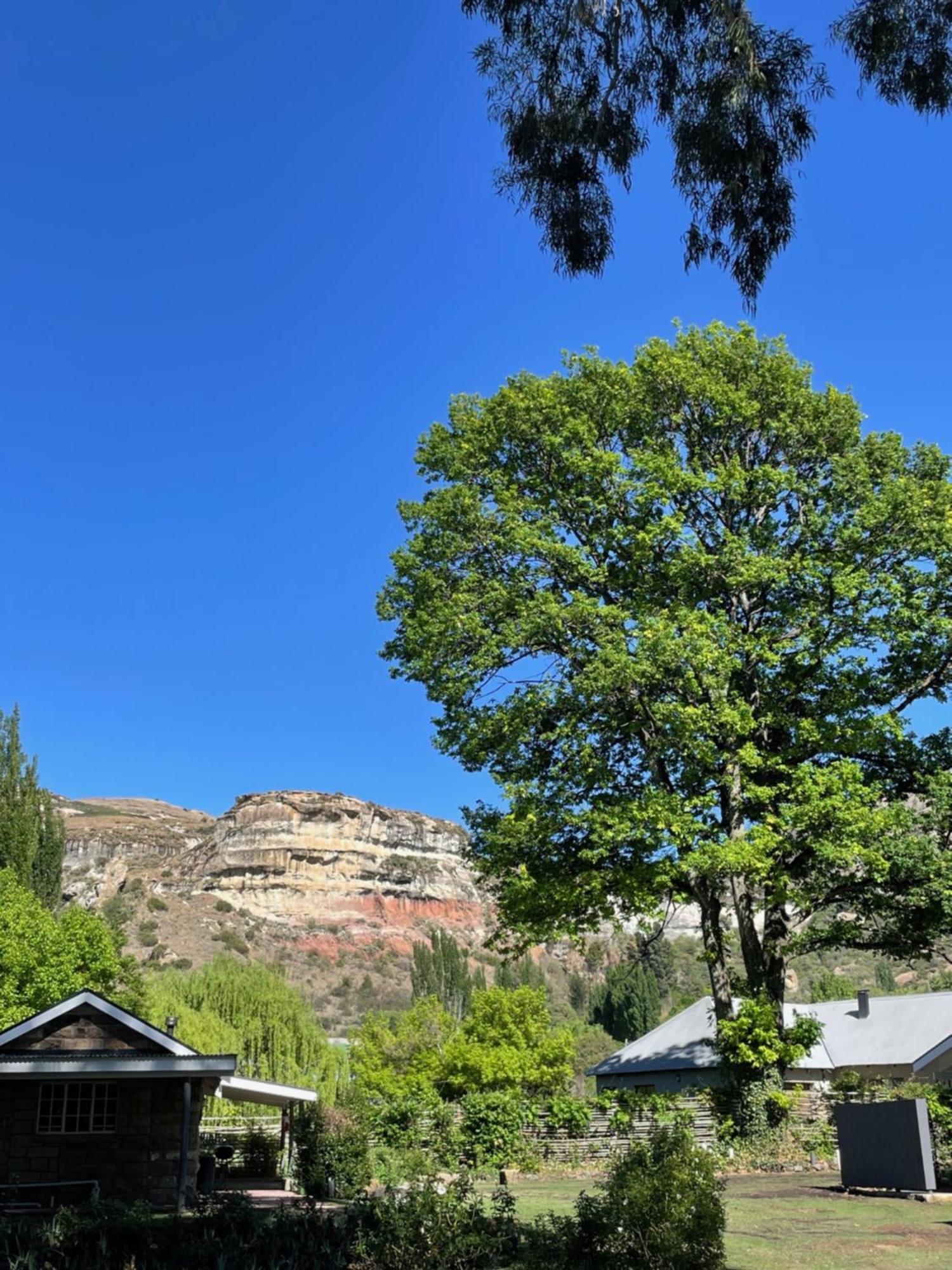 Periwinkle, Grove ,Acorn & Sage Cottages Clarens Luaran gambar