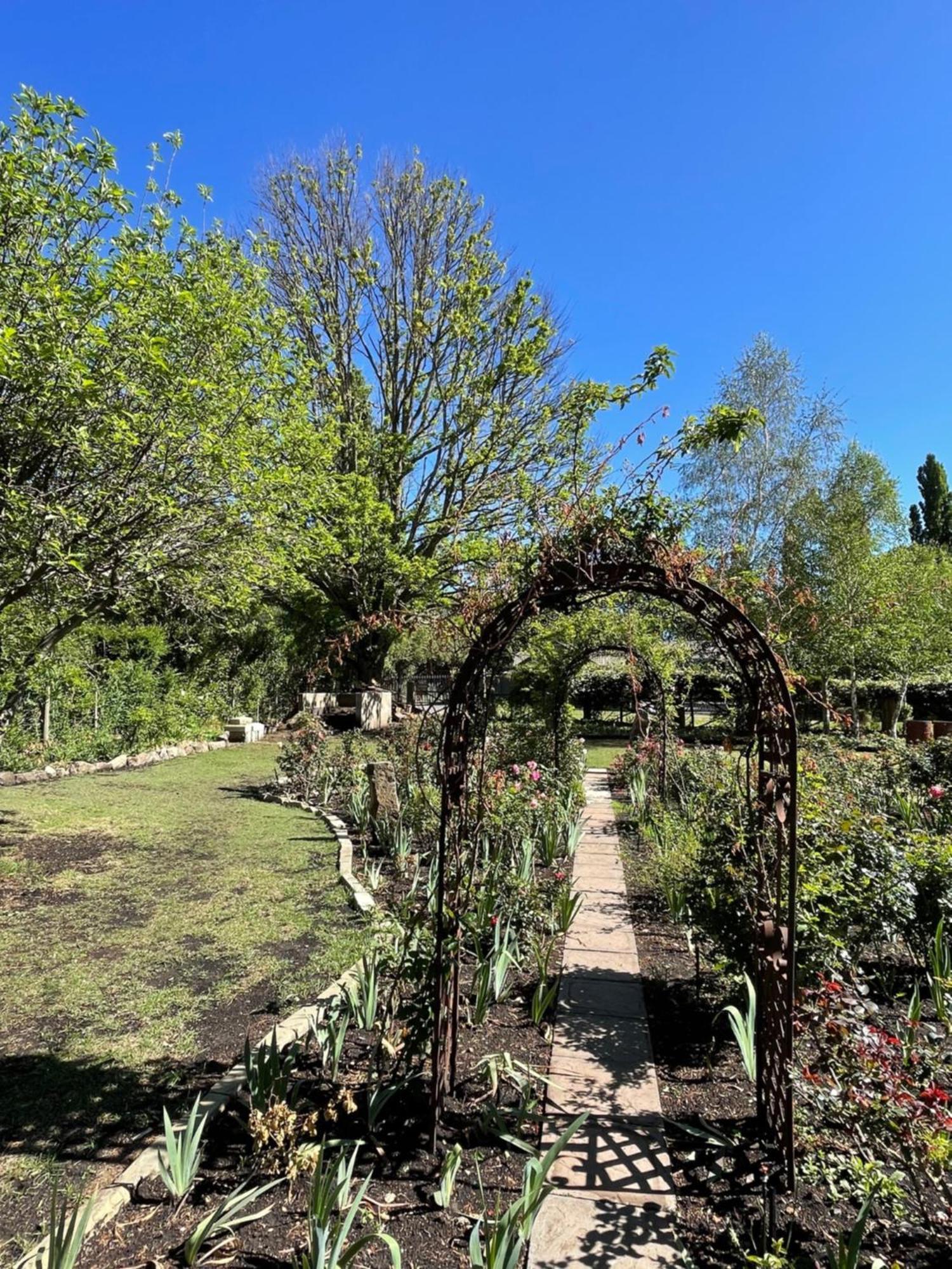 Periwinkle, Grove ,Acorn & Sage Cottages Clarens Luaran gambar