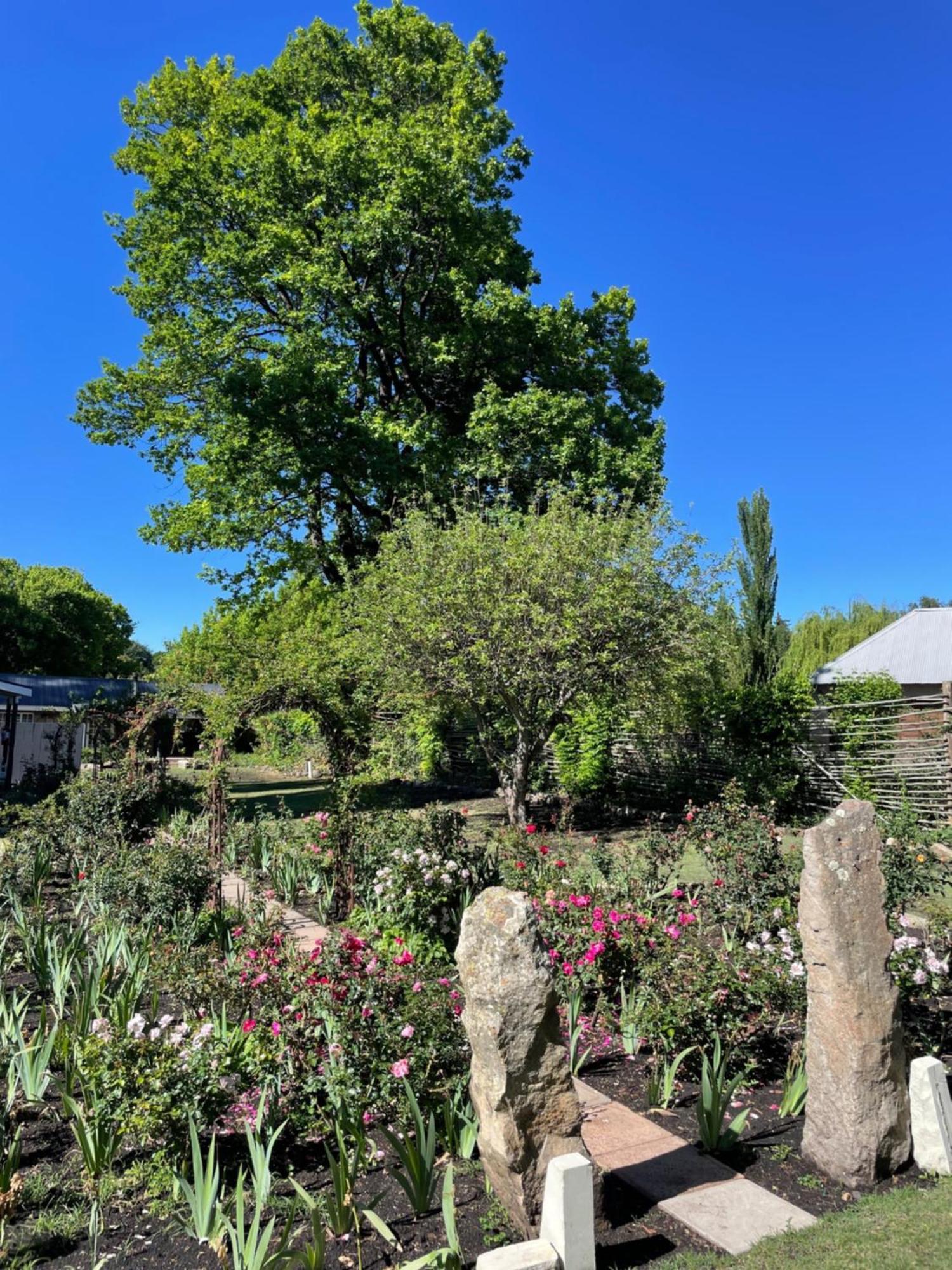 Periwinkle, Grove ,Acorn & Sage Cottages Clarens Luaran gambar