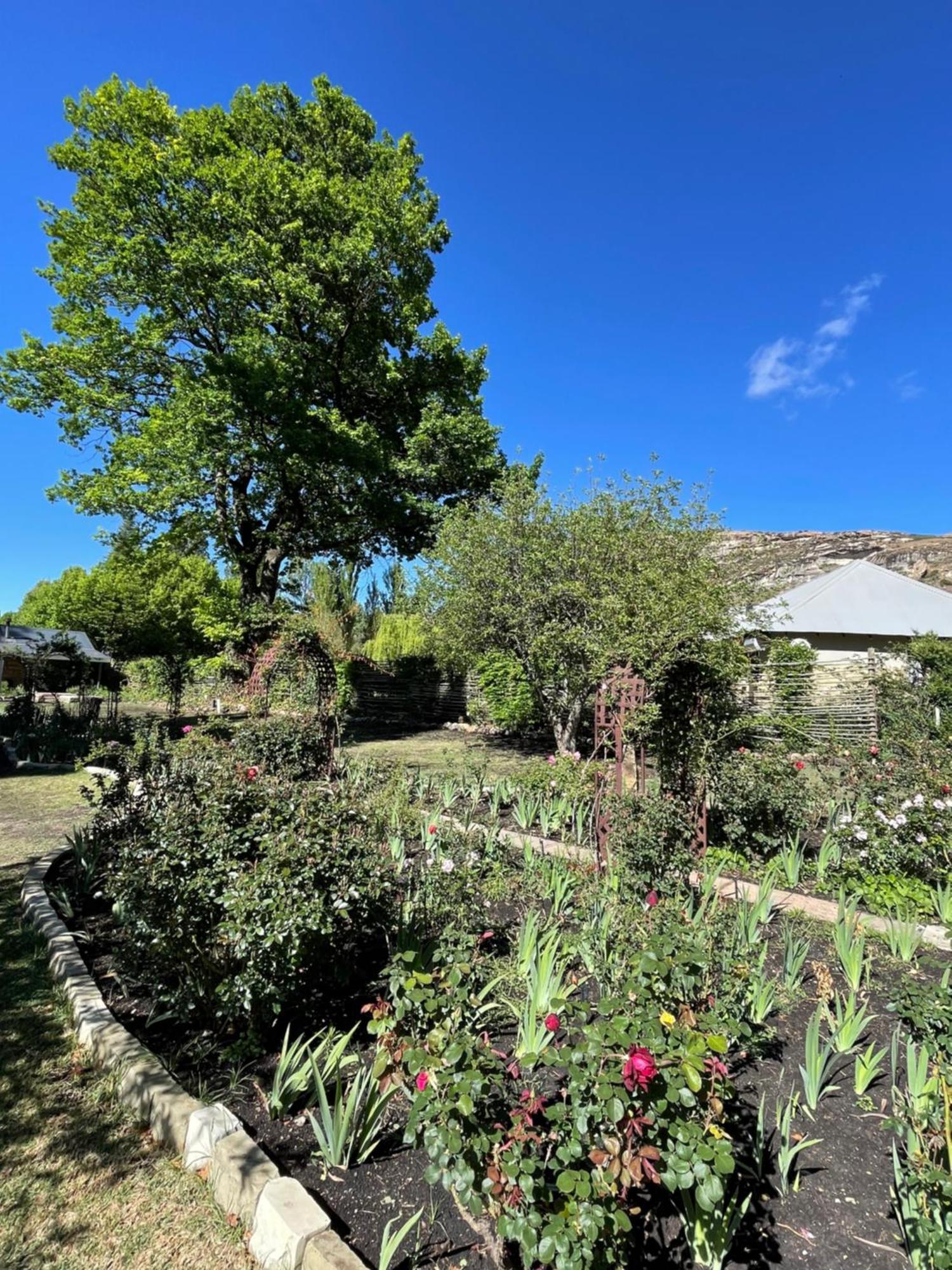 Periwinkle, Grove ,Acorn & Sage Cottages Clarens Luaran gambar