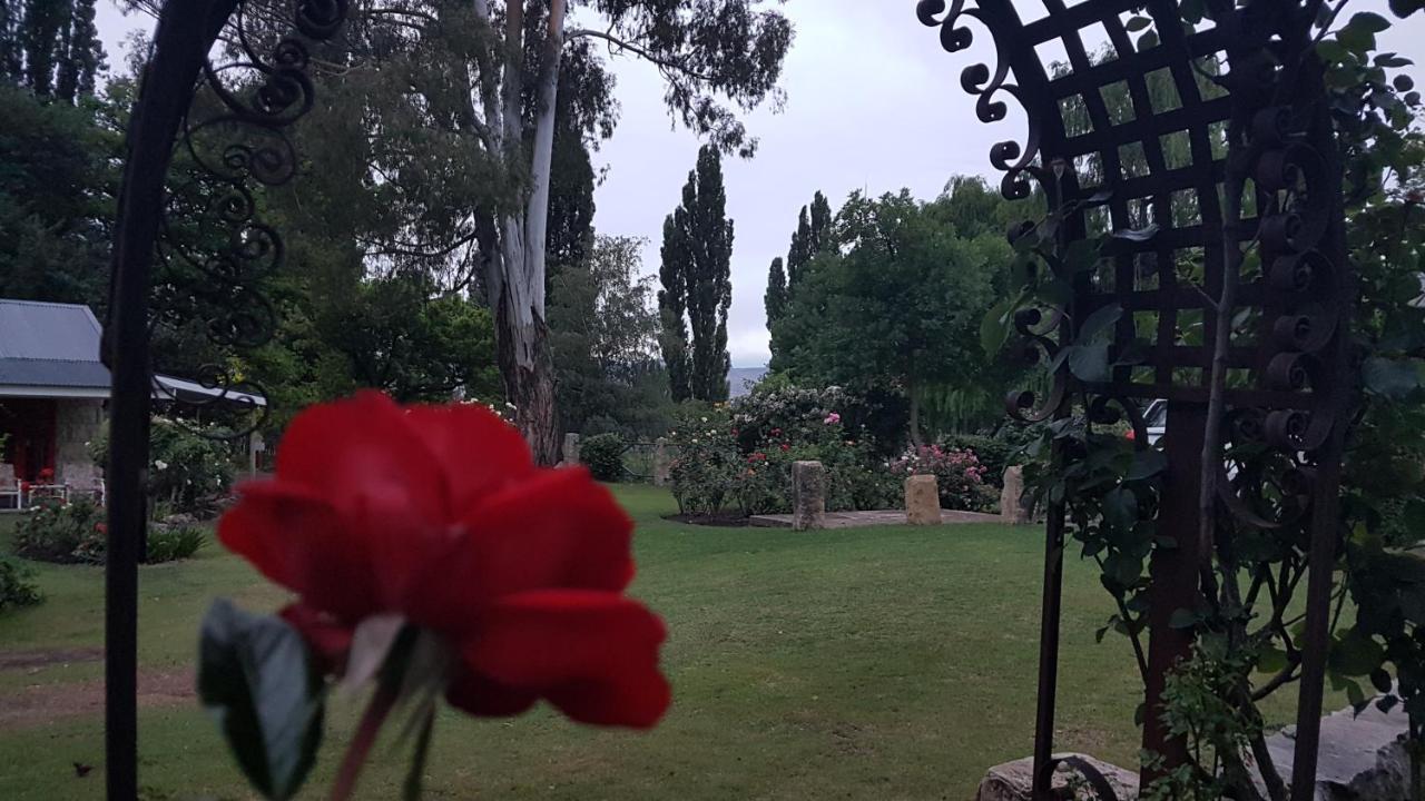 Periwinkle, Grove ,Acorn & Sage Cottages Clarens Luaran gambar