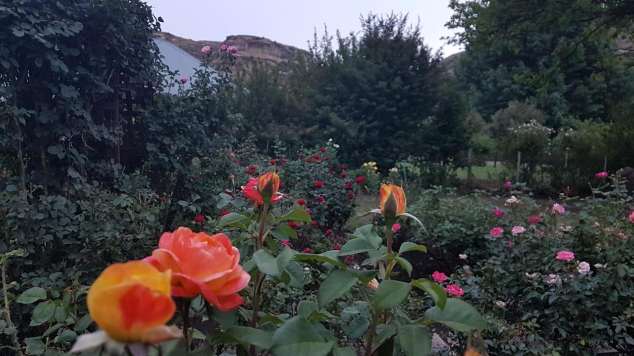 Periwinkle, Grove ,Acorn & Sage Cottages Clarens Luaran gambar